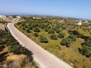 Chorafakia Chania Olivenbäume und Meerblick - in der Nähe von Stränden Grundstück kaufen